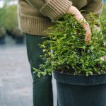 Därför kan du vilja införskaffa en glasmonter med lås